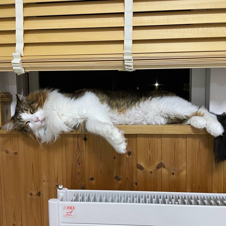 3e84c308 fcc2 4ccd 9106 eb5cc11d48bf 1725015522297