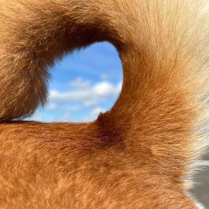 3e84c86f 2540 480b a55e ea4e66797c4a 1693732106162