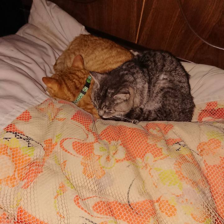 3e84ee3d 6dc4 4eb6 9aa0 6c820c05bea2 1580742031254