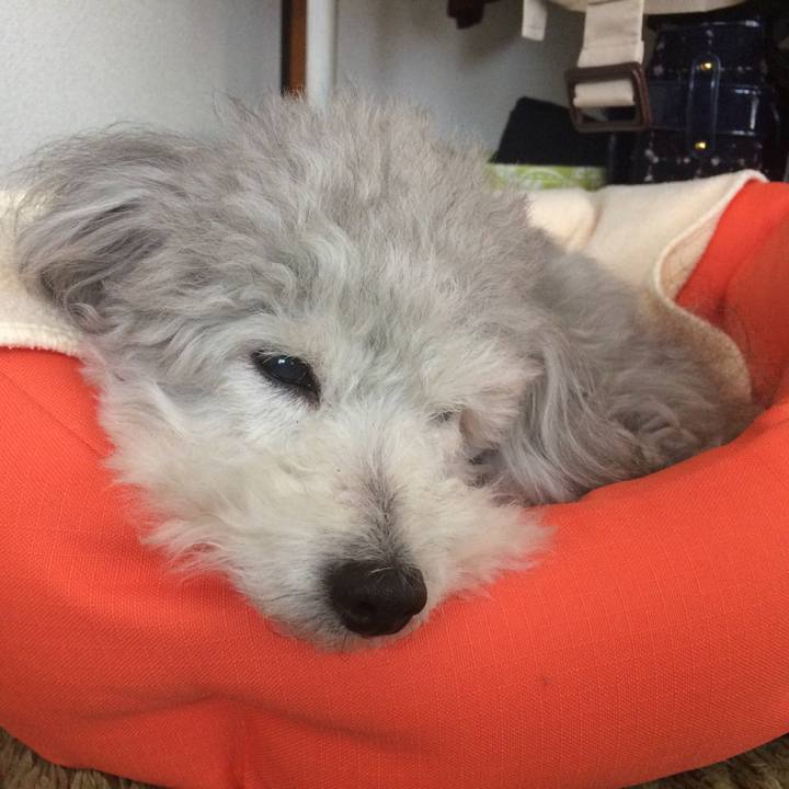 3e852b04 474c 46b5 b560 94a41b6c81df 1520204830098