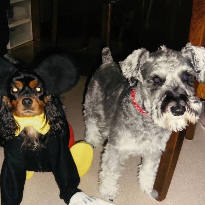 3e852e41 039b 4f41 919c 5a49c0080eeb 1564959931947