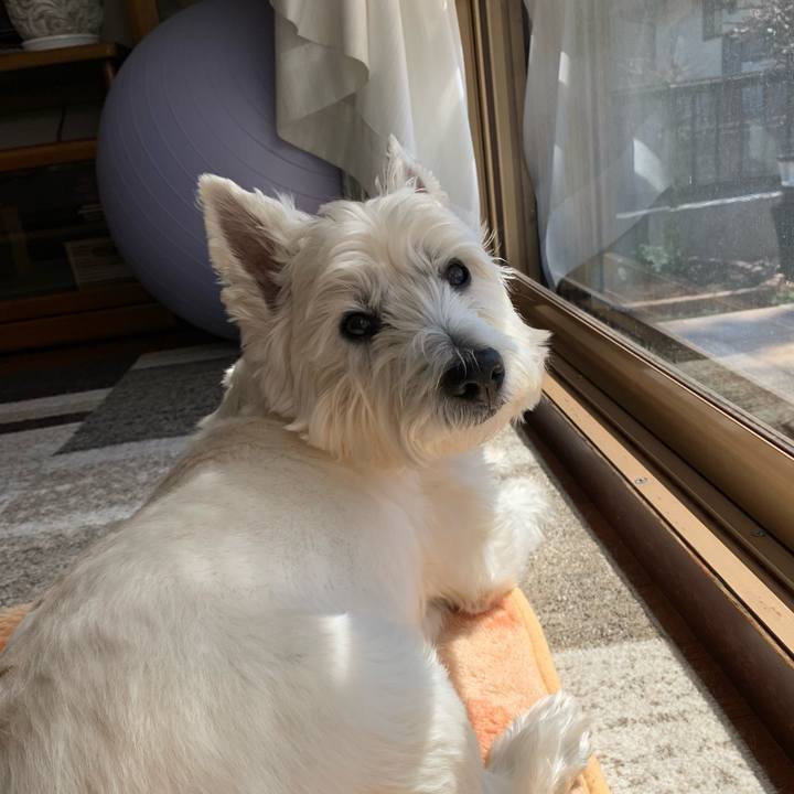 3e8568b8 b6c6 49dd 8046 89f8d80ef44f 1617932511657