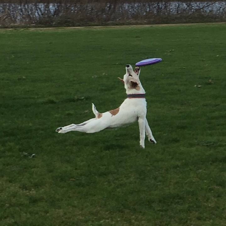 3e856968 99e9 4c0b a2d4 635754b22458 1614951100079