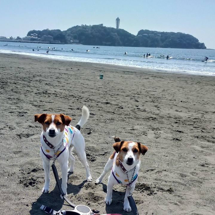 3e8570bc 5374 48fe 8ce8 8d3125a5a2f0 1774683851242