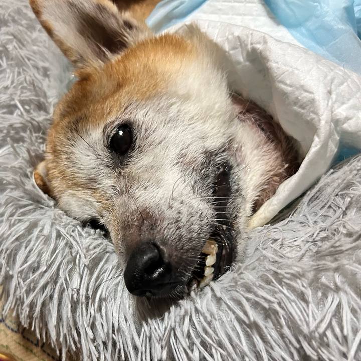 3e85aa26 1dcd 402f 98b5 fec9ee2d6b4b 1766329621365