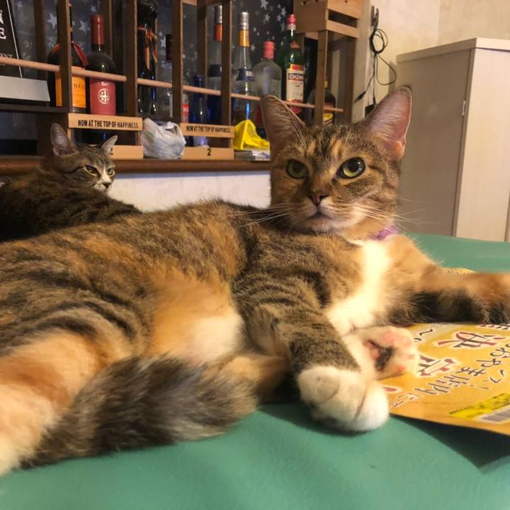 3e85b396 ee61 44de b33a 9a17798b56d8 1568464515281