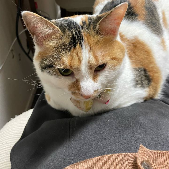 3e85b7c8 eeed 4ec9 b5f4 8df6fc16f804 1647426401766