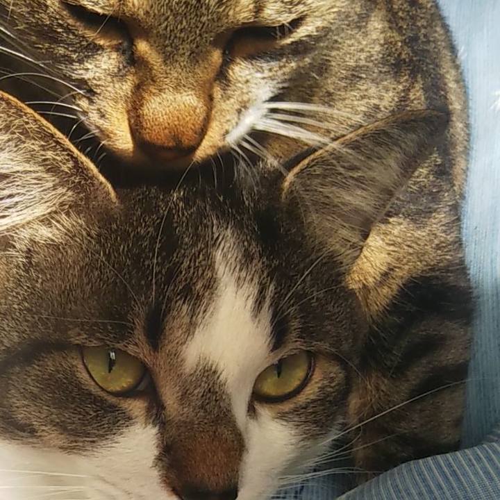 3e863b3b d085 4525 96a9 f0beaf65048e 1606797047023