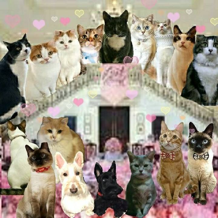 3e863e89 202f 483c a64c c5e1953a4251 1533312980947