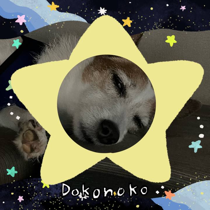 3e864e96 687b 4f0a bd98 0269bdb82920 1720922977056