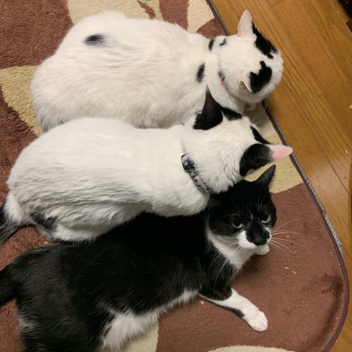 3e866210 20ef 4bf9 898b c1e166d76bfd 1548150573998