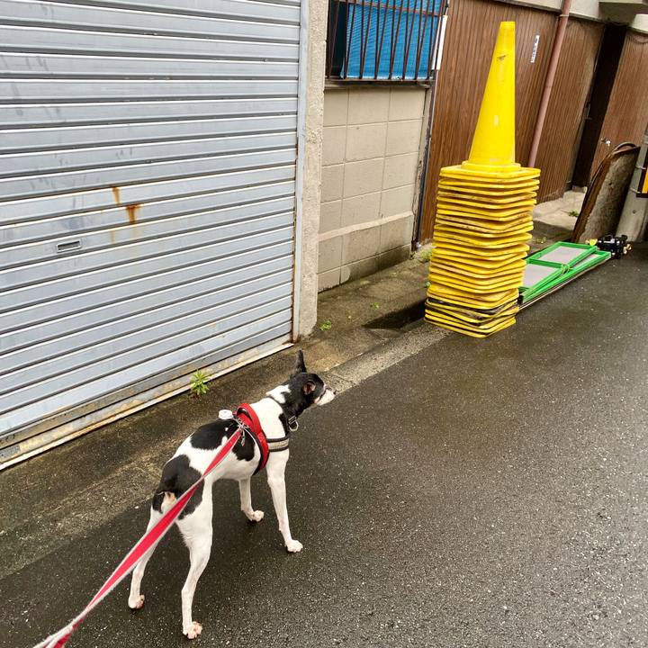 3e866498 c36e 43a6 acd1 525e93740c2d 1593305660101