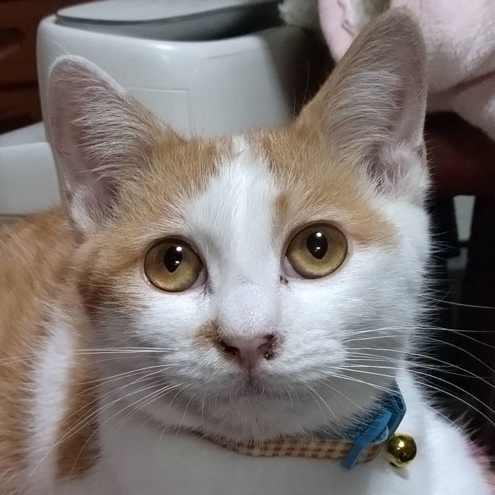 3e86754e 5665 40d3 b4af df9c80be0994 1733226899858