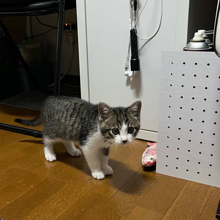 3e869f70 752f 401c 9943 d93abb9df520 1766457419107