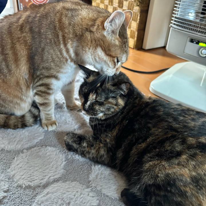 3e86b440 f250 407a 97f1 5ebf77b5ef6b 1767506520571