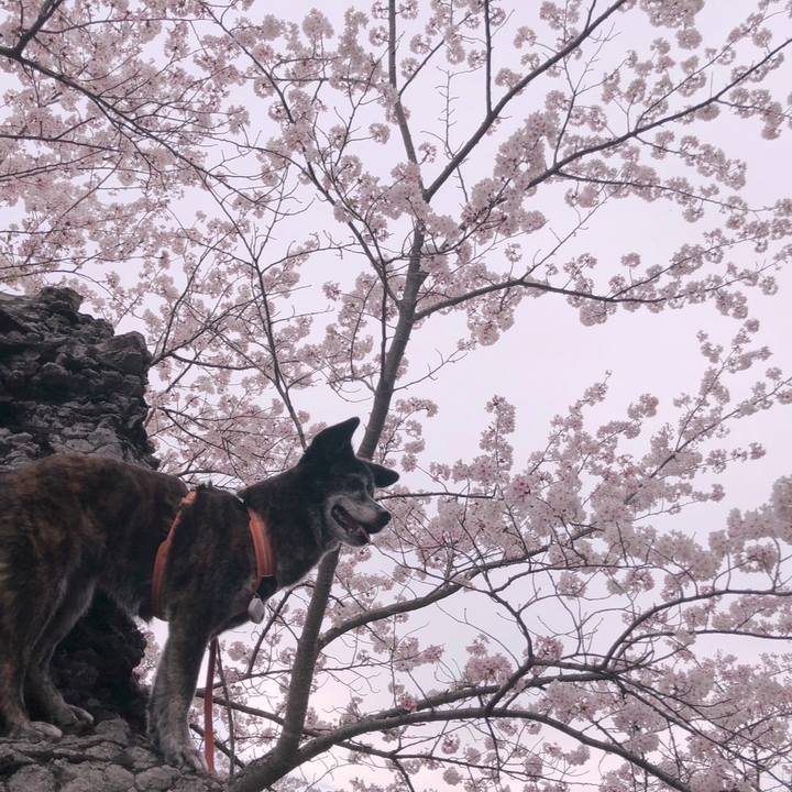 3e86b6fc f94d 4786 994b 0603ac25175b 1681045574885