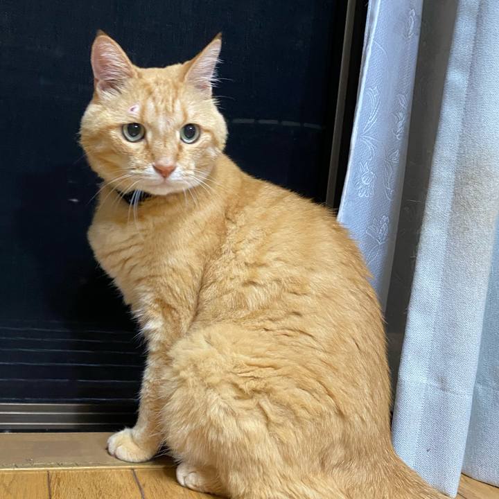 3e86c448 41bd 46cf b3af 1d8ed7334d73 1754477141564