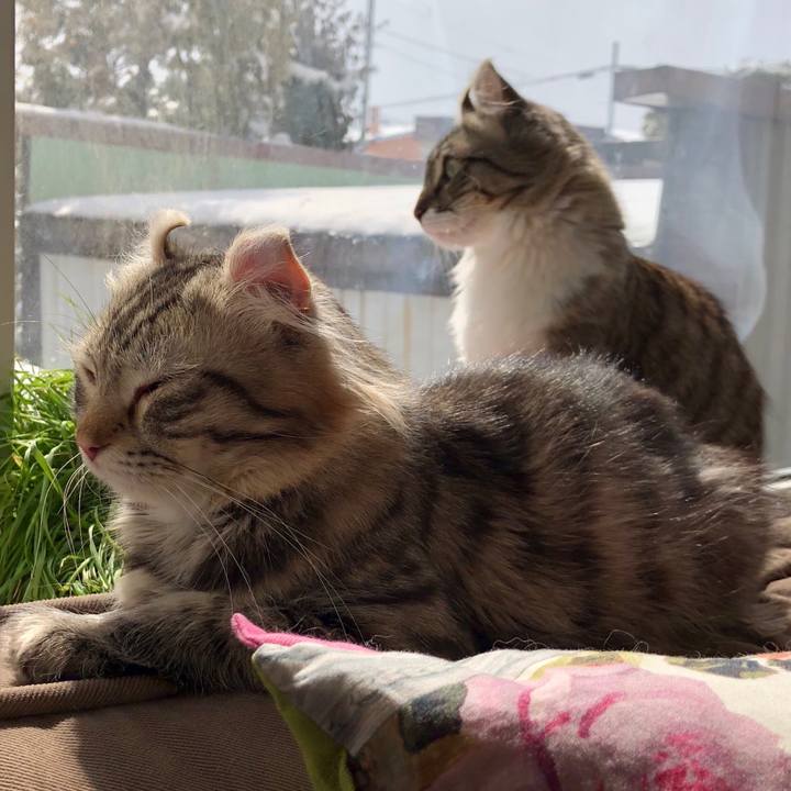 3e86de39 b3d0 4e94 b10a 0420accbd9bf 1525472589660