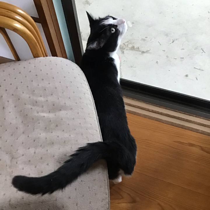 3e86fd4e cc3d 457e 8a8d 51554cfb0e80 1754905510644