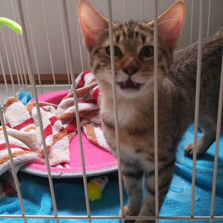 3e86fde3 b065 44b6 bbc5 d42aea5b4ba4 1568210304820