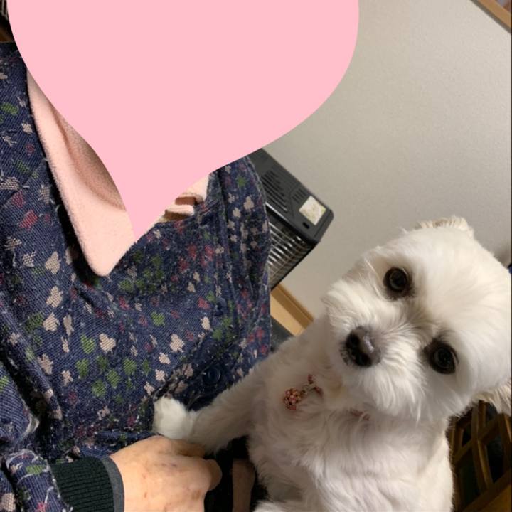 3e87560f 4079 452c 8d2e 38eb2df1465a 1615268826899