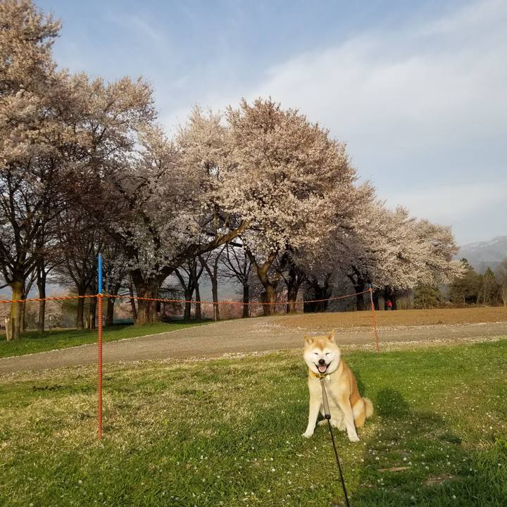 3e876694 e634 49c1 8d7a f3975de0778d 1681201199831