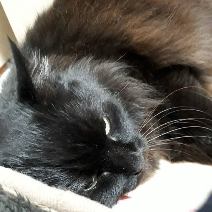 3e877bc7 6931 4d65 953a e94d0dacc7ff 1542893469106