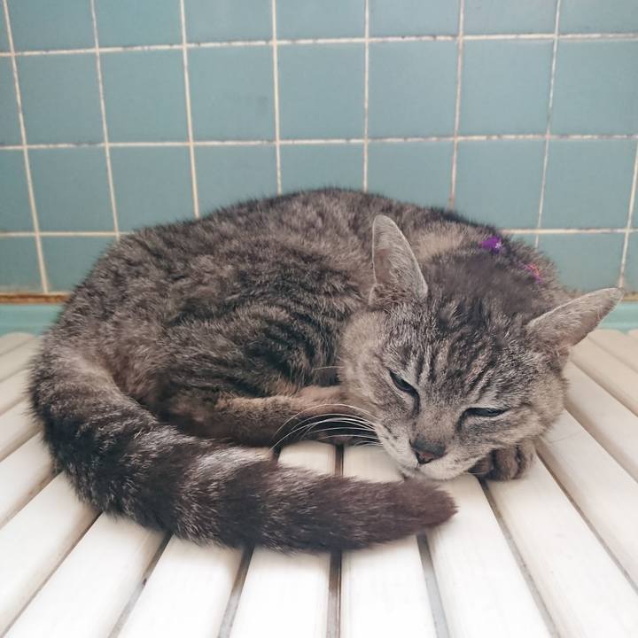 3e878056 c4f1 4cbc 8d05 f79e5b84ca89 1591733164964