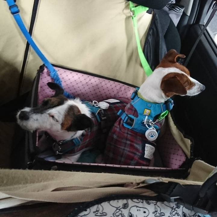 3e878e94 26c6 4fe0 a9c4 347dede2c2b3 1595112359632