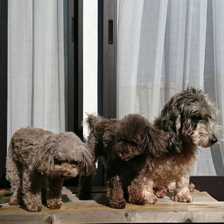 3e87f945 41b5 4137 9d60 9fc93939ad0e 1546589314380