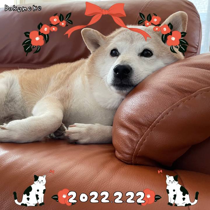 3e87fd6f e3db 48e3 b9c4 7cedd8930cc7 1645526740117