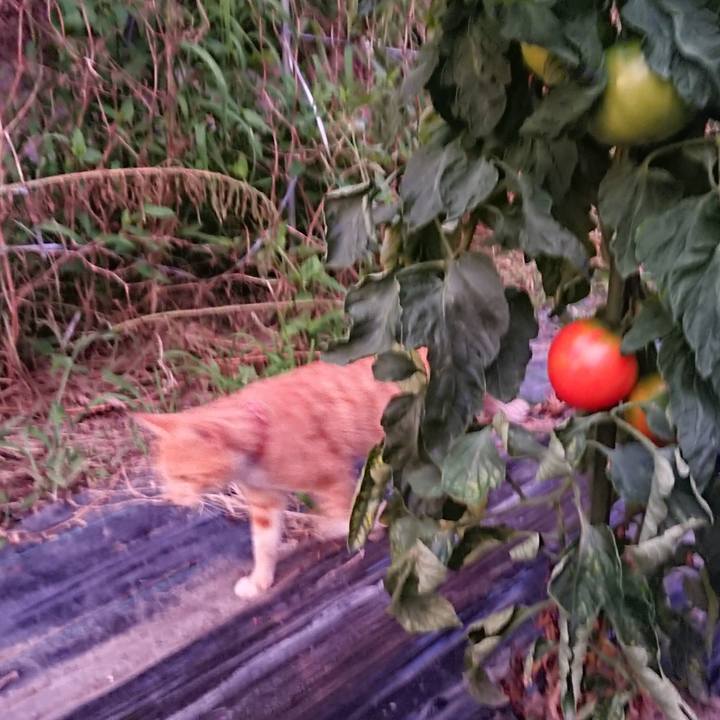 3e88064a 3fc7 471c afd9 354c8aa9bc11 1564567844256