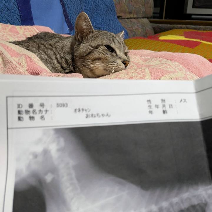 3e884012 54bd 42c4 8ec2 df9d635f3951 1742225716230