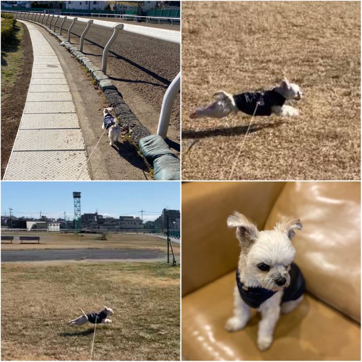 3e885131 e57d 423e afac affca845cce8 1577532451770