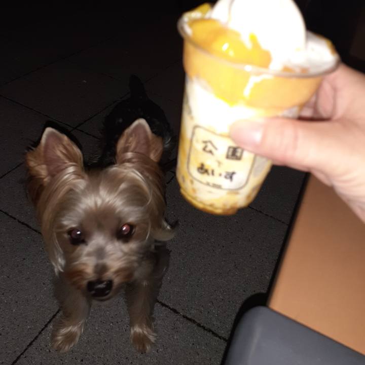 3e8854cf 821d 42cf b98a 37769a55cab8 1660608122139