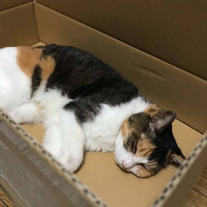 3e886b5c 2149 4274 afd0 873e176d5e38 1565175414811