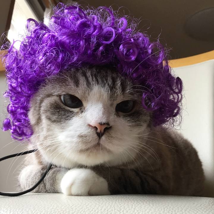 3e8872b7 f9b3 4e95 b11c 199852290af4 1566808003592