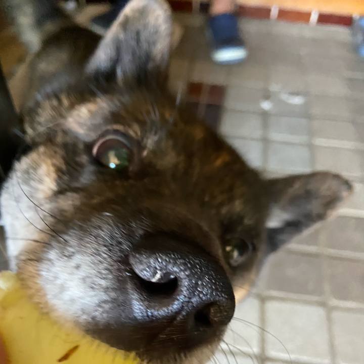 3e88812a 5e1b 4566 b8f2 569bbca1a6ff 1588665669804