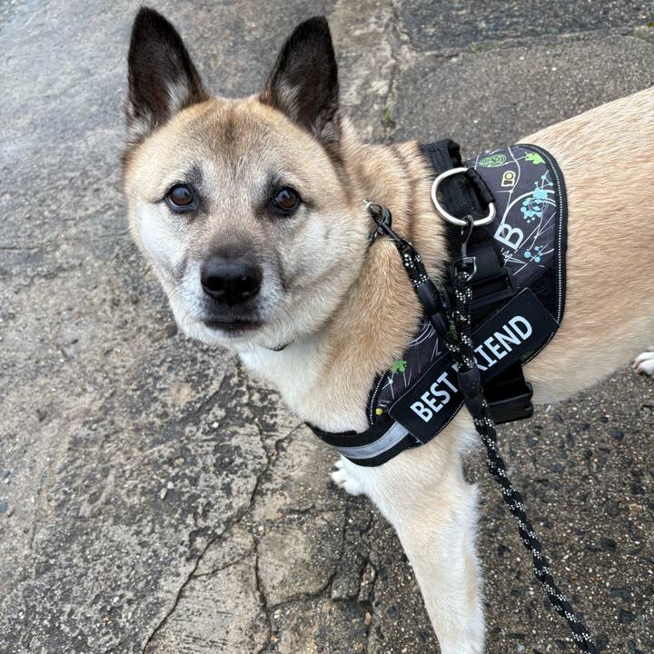 3e88a5b5 2b12 4cc9 9d64 1ebc180b09f3 1745415480739