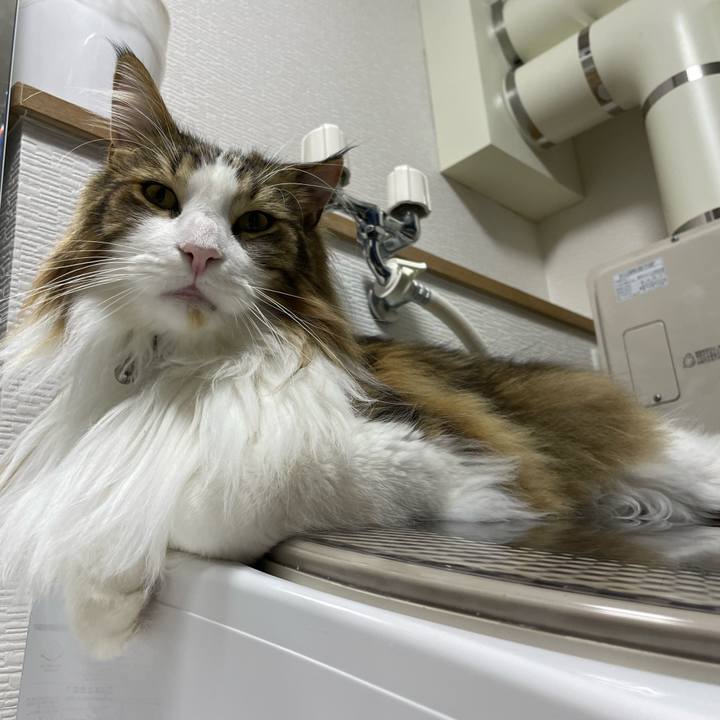 3e88c4a7 7296 427b a5d8 5aa48e32882b 1677529813734