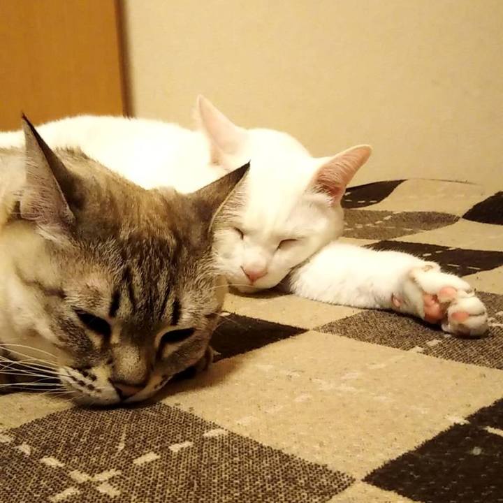 3e88c6d8 7bd4 420c a003 5a37ff7fda07 1610460999595