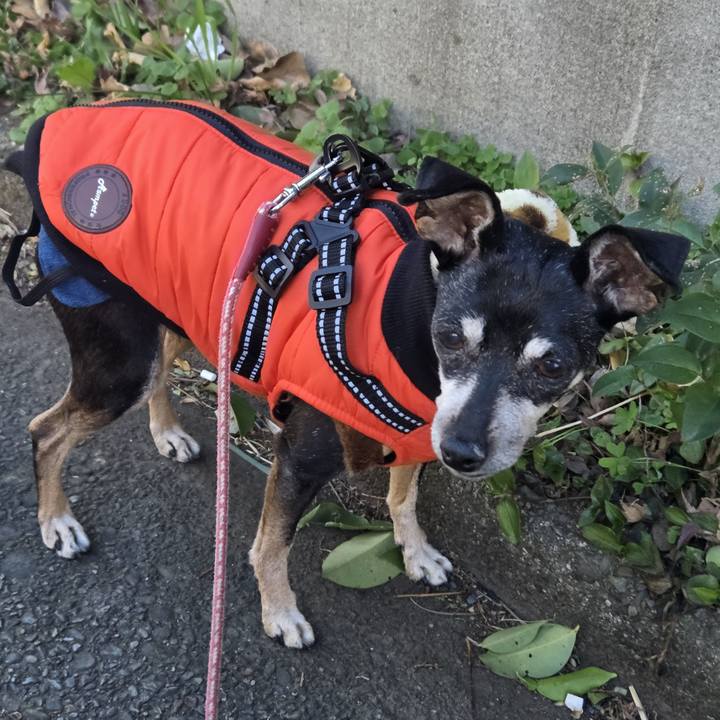 3e88c964 b997 468d a7cd ff1da0eb0533 1768351790322