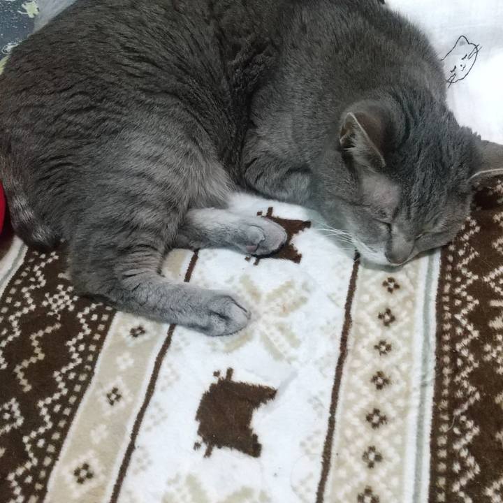 3e88f7c1 cad0 48fe aef2 8cc1063daa9b 1683630692070