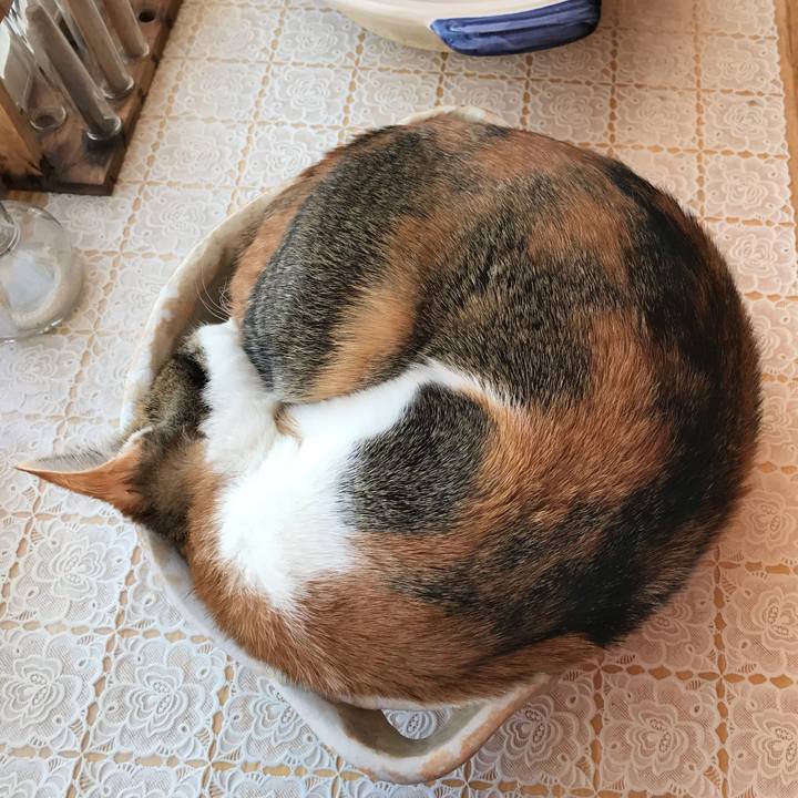 3e8929fb 9e4f 4100 8324 49307d257541 1609558890482