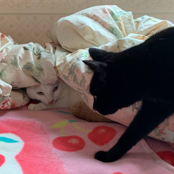 3e8952c5 713c 4e50 9603 4fe942be8cae 1569155973962