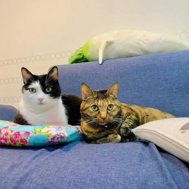 3e897dac f7b9 4dec 97bc 44bbfecf0329 1670247319104