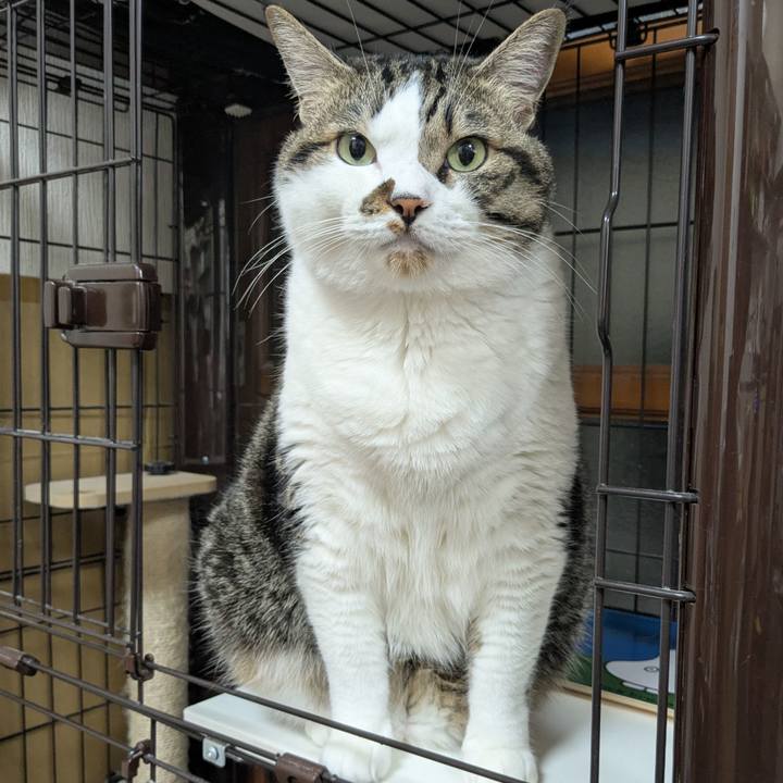 3e89b9d3 6aa7 495f 9690 63d91853b554 1753787580676