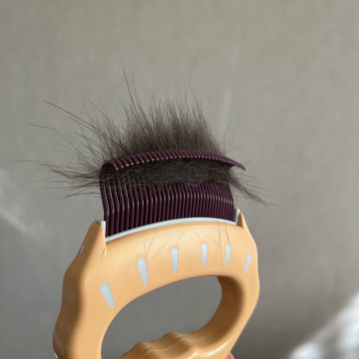 3e89db36 85b8 4538 9278 0c880d7aa0c5 1699090643849