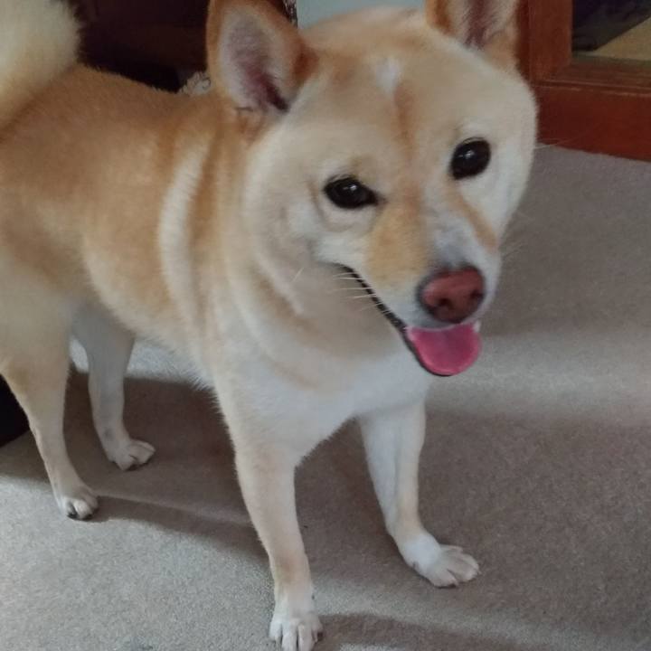 3e89ddb8 99b1 4ddb a1cb 524686f242ae 1594507667534