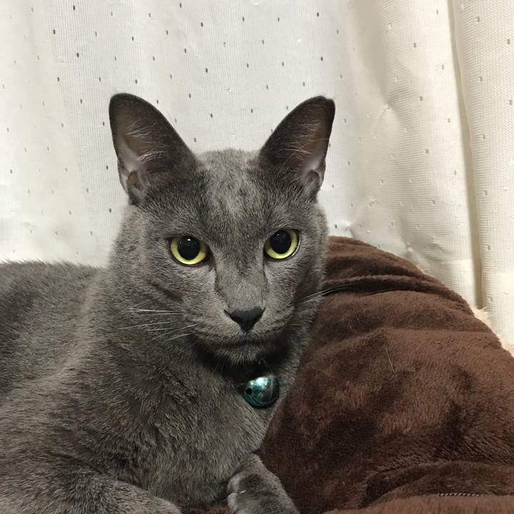 3e8a07c7 ec1f 42c5 860c 82b226e3094f 1508076162398